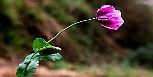 GOG喜加一！免费领取《白日梦魇：1998》